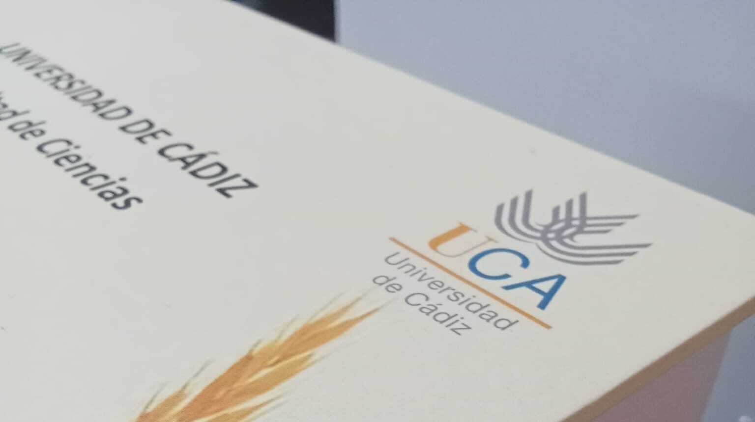Ejemplar de Tesis doctoral impresa en encumar.es